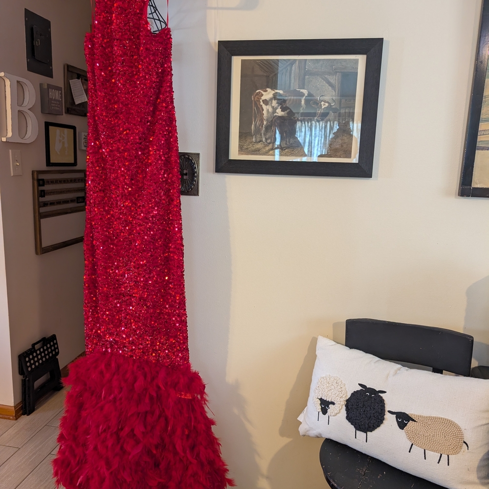 Fashion Nova Red Sequin and Feather Dress